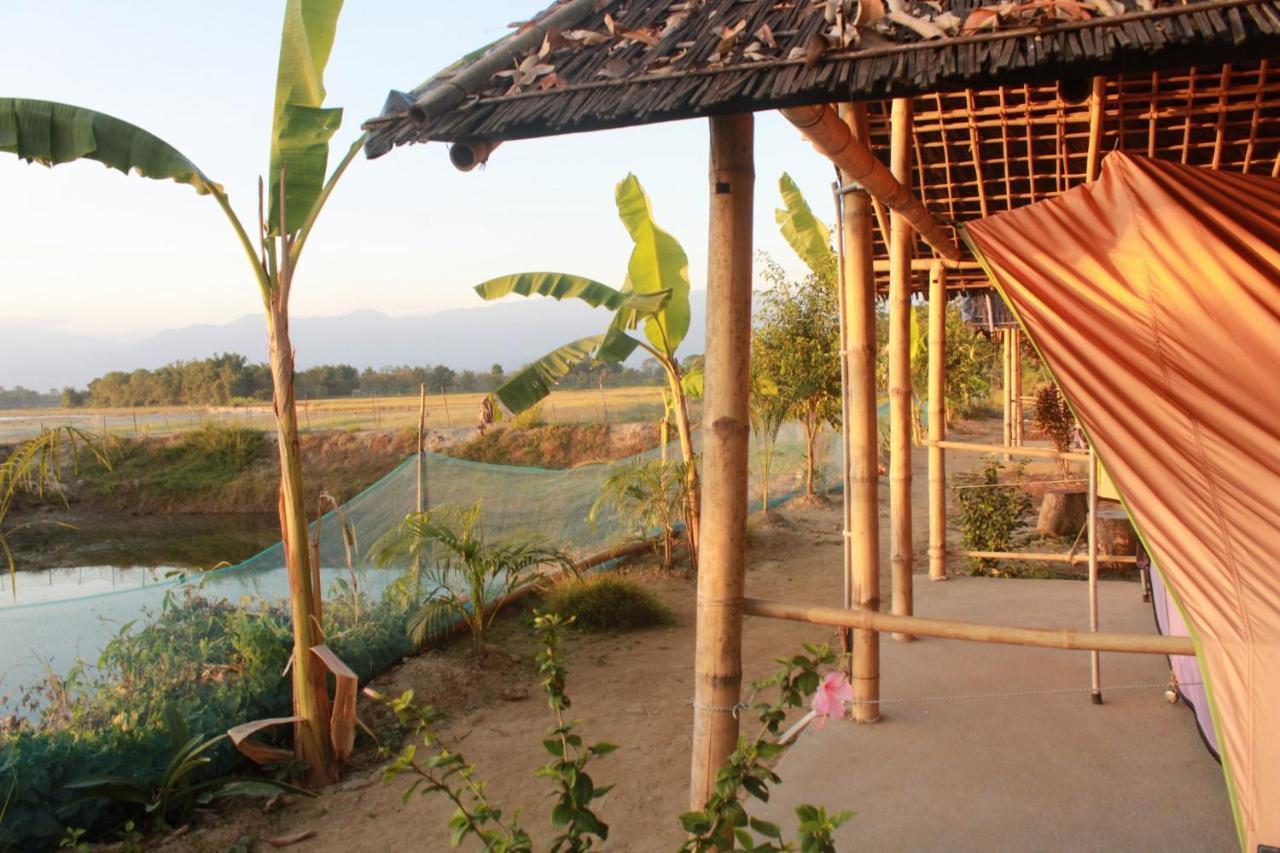 Kanoka Village Resort Mazbat 外观 照片