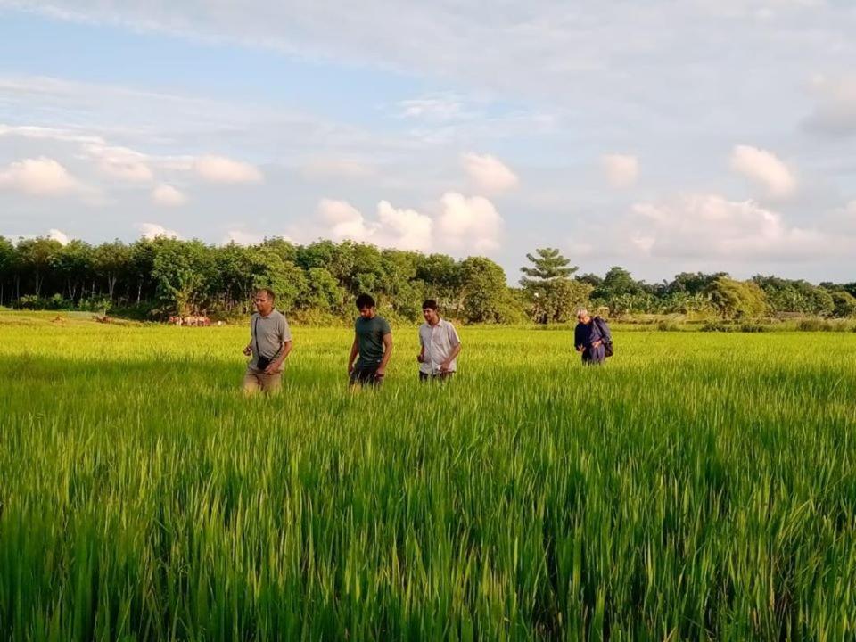 Kanoka Village Resort Mazbat 外观 照片
